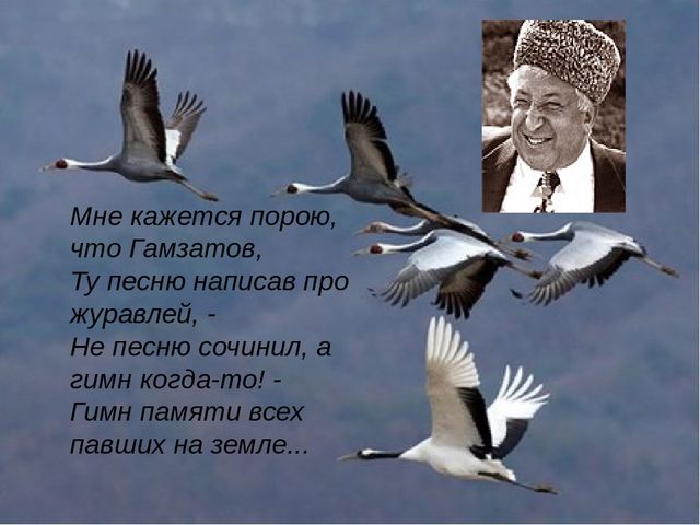 Kraken актуальный сайт